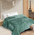 Super Soft Solid Velvet Finish Light Green Flannel AC Blanket (Size: 90 x 90 Inches) Blanket My Store