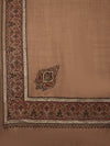 Brown Woolen Women Shawl with Intricate Embroidered Detailing – Winter Wrap (80 x 40 Inches)