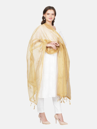 Woven Design Silk Blend Banarasi Dupatta with Zari - Image 2