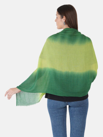 SOFT WOOL STOLE OMBRE - Image 2