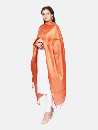 Woven Design Silk Blend Banarasi Dupatta with Zari
