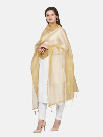 Woven Design Silk Blend Banarasi Dupatta with Zari