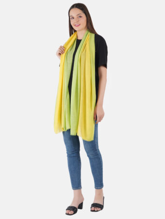 SOFT WOOL STOLE OMBRE - Image 3
