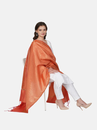 Woven Design Silk Blend Banarasi Dupatta with Zari - Image 3