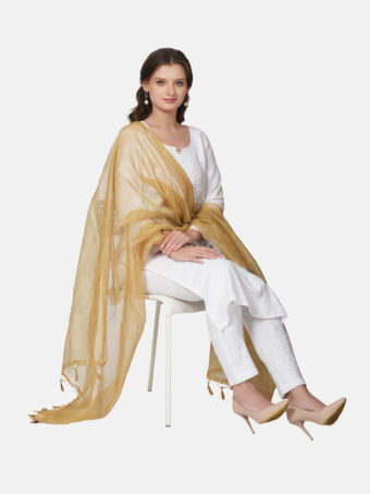 Woven Design Silk Blend Banarasi Dupatta with Zari - Image 3