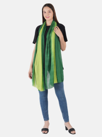 SOFT WOOL STOLE OMBRE - Image 4