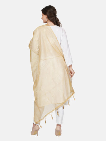 Woven Design Silk Blend Banarasi Dupatta with Zari - Image 4