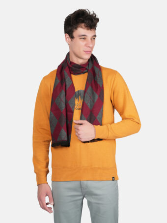 Woven Reversible Printed Men's Wool & Acrylic Muffler - Image 4