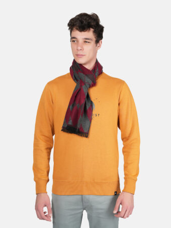 Woven Reversible Printed Men's Wool & Acrylic Muffler - Image 5