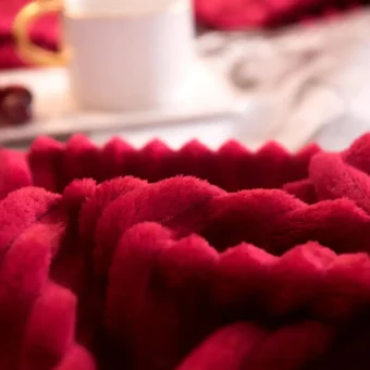 AC Flannel Fleece Throw Blankets for Double Bed, Dohar 90X90 Inches, Ultra Soft Warm Ribbed Microfiber - Image 3
