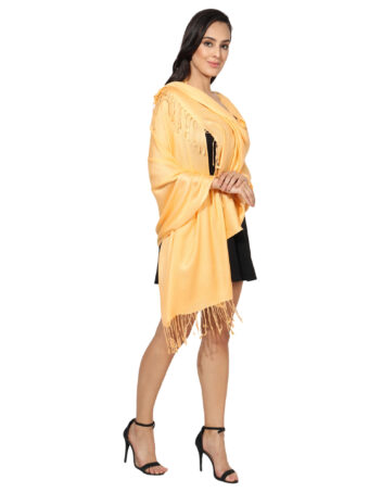 Blended Pashmina Soft Silky Women's Viscose Stole with Hanger