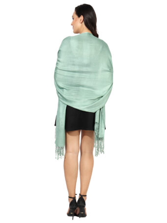 Blended Pashmina Soft Silky Women's Viscose Stole with Hanger - Image 2