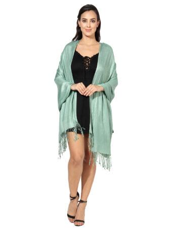 Blended Pashmina Soft Silky Women's Viscose Stole with Hanger - Image 3