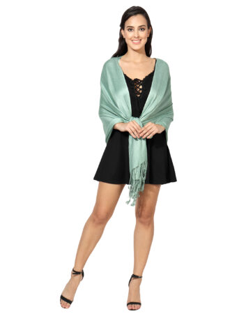 Blended Pashmina Soft Silky Women's Viscose Stole with Hanger - Image 4