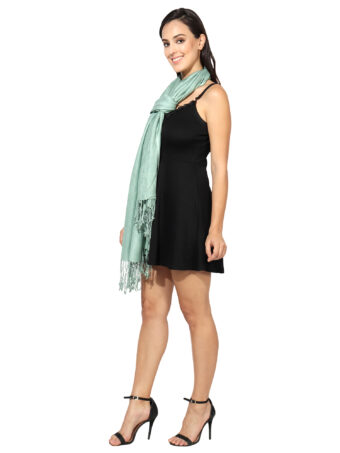 Blended Pashmina Soft Silky Women's Viscose Stole with Hanger - Image 5