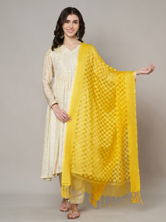 MUFFLY Women Peach Cotton Checks Dupatta