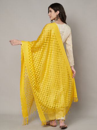 MUFFLY Women Peach Cotton Checks Dupatta - Image 4